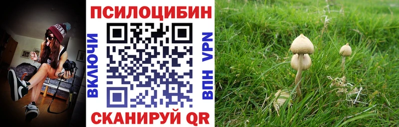 Псилоцибиновые грибы ЛСД Невельск